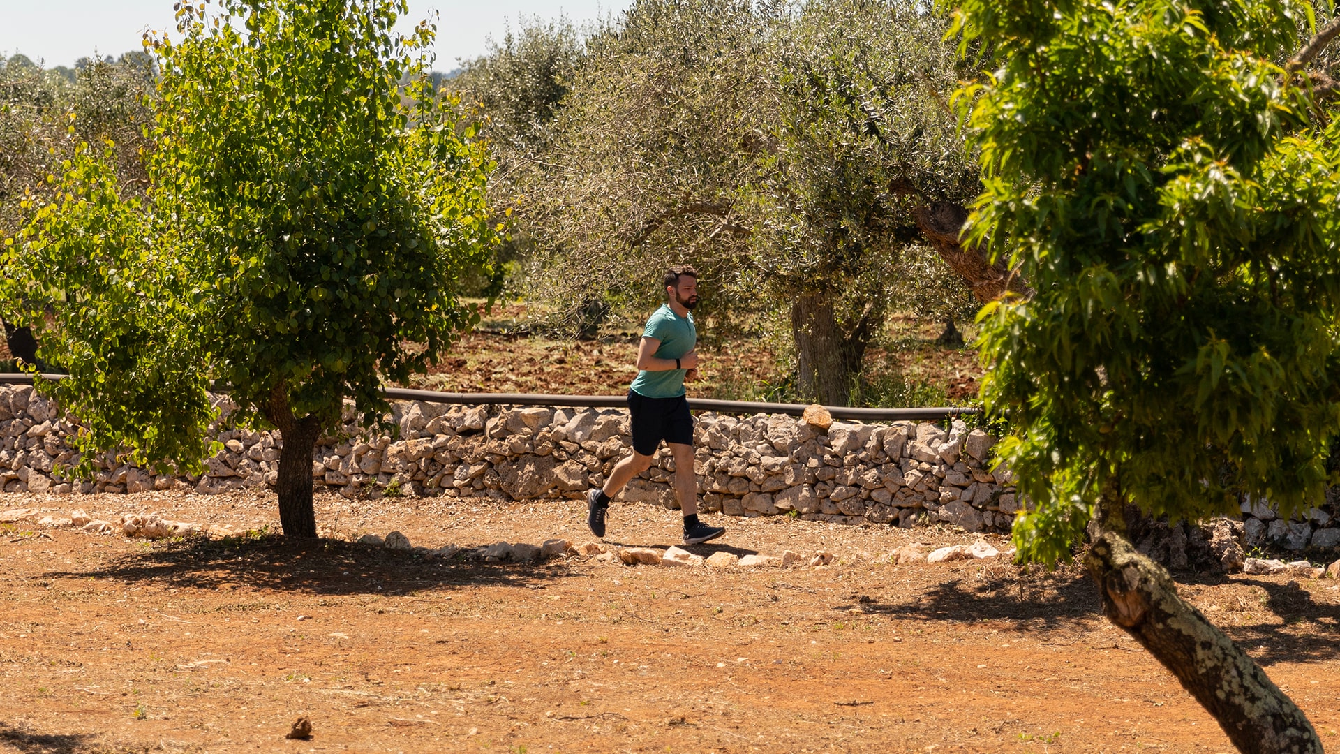 Petranima - Jogging nelle campagne della Valle d'Itria
